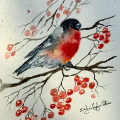 Winter Bullfinch