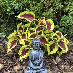 Handmade Concrete Buddha