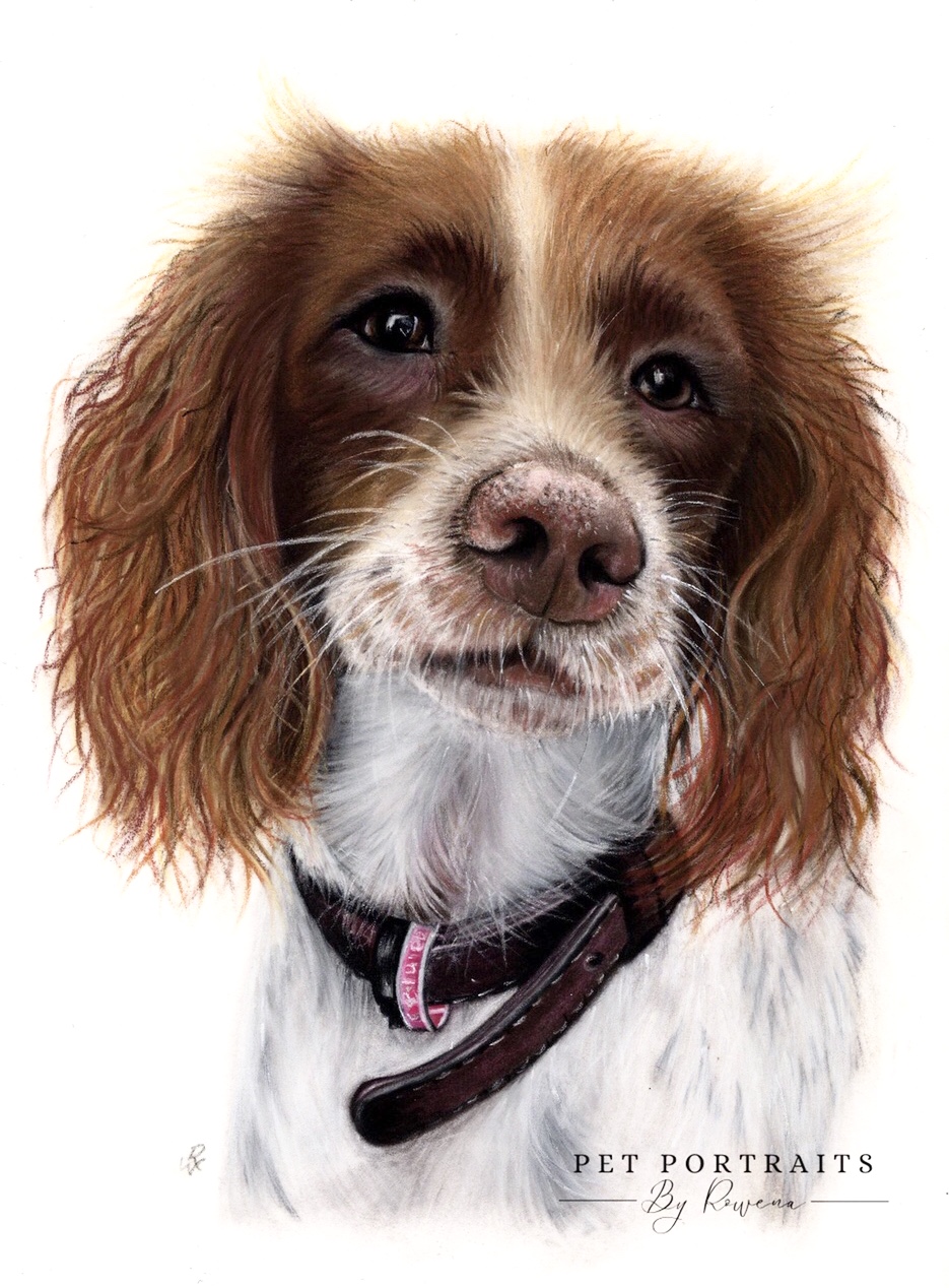 Pet Portraits in Pastel MadeMe