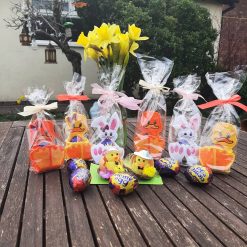 Easter Chick Egg Holder-free postage
