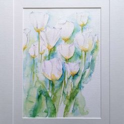 White Tulips