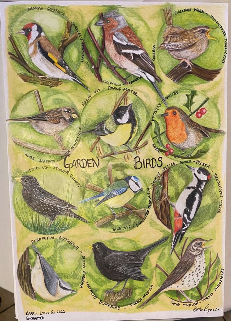Garden Birds Chart MadeMe