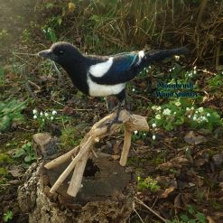 Needle Felt Magpie , Needle felt animal, Sculpture, Needle felt bird, Woodland creature, Fibre art, Bird sculpture, gift, wildlife art 1 Needle Felt Magpie , Needle felt animal, Sculpture, Needle felt bird, Woodland creature, Fibre art, Bird sculpture, gift, wildlife art 5