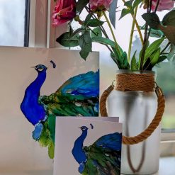 Peacock 1