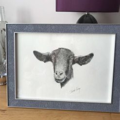 Goat “Oh! Hello”