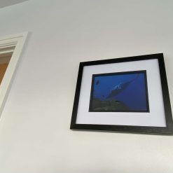 Manta Ray signed framed print