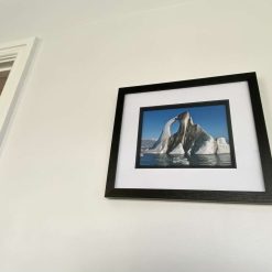 Iceberg signed framed print