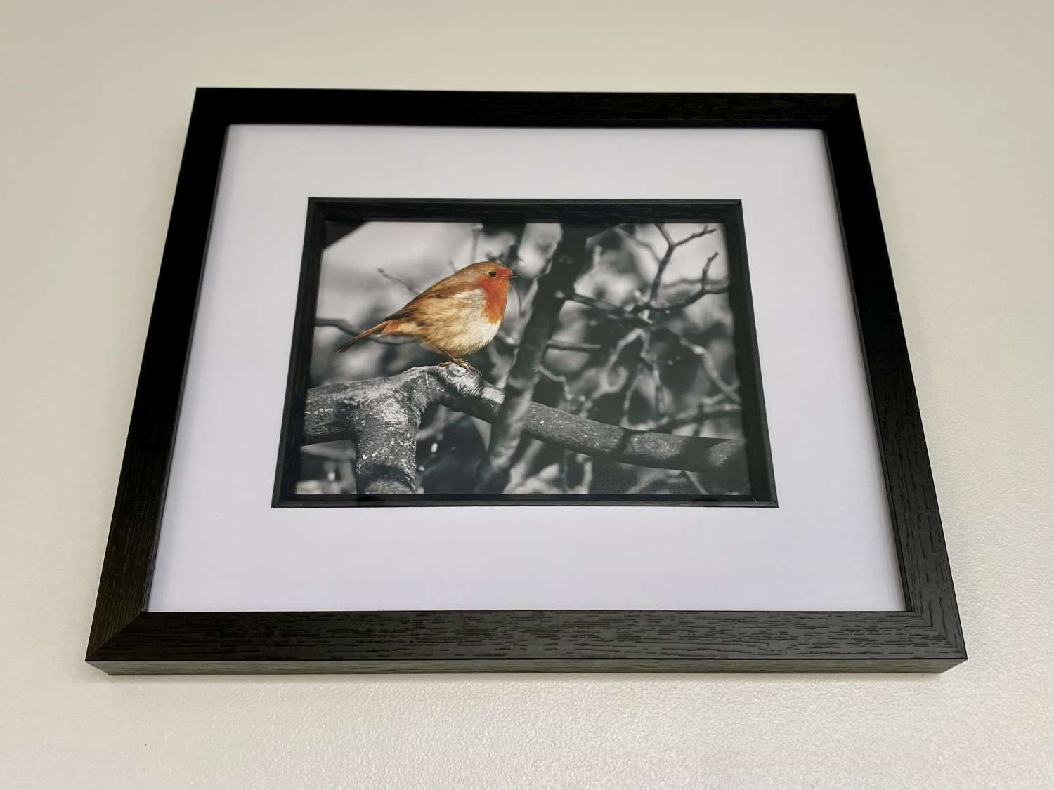 Robin in tree signed framed print Robin in tree signed framed print