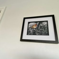 Robin in tree signed framed print 2 Robin in tree signed framed print 2
