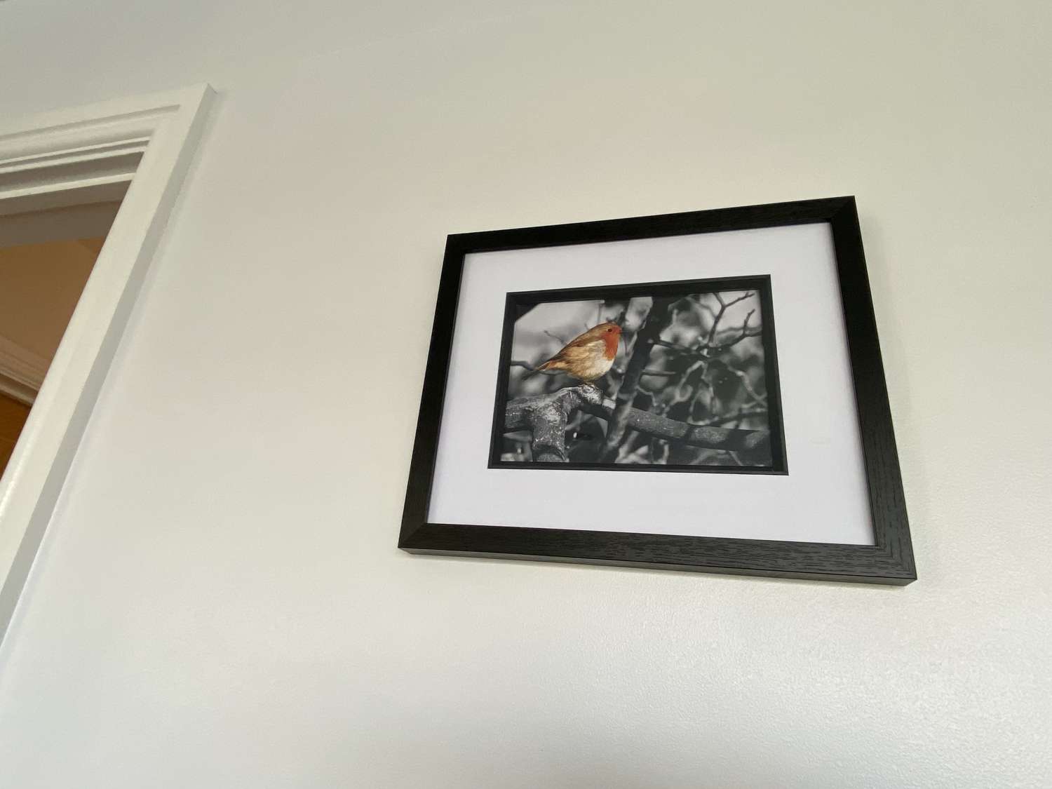 Robin in tree signed framed print Robin in tree signed framed print