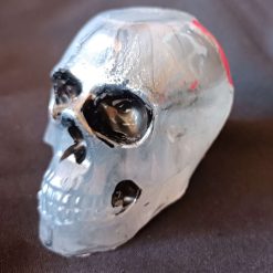 Skull Medium in Resin