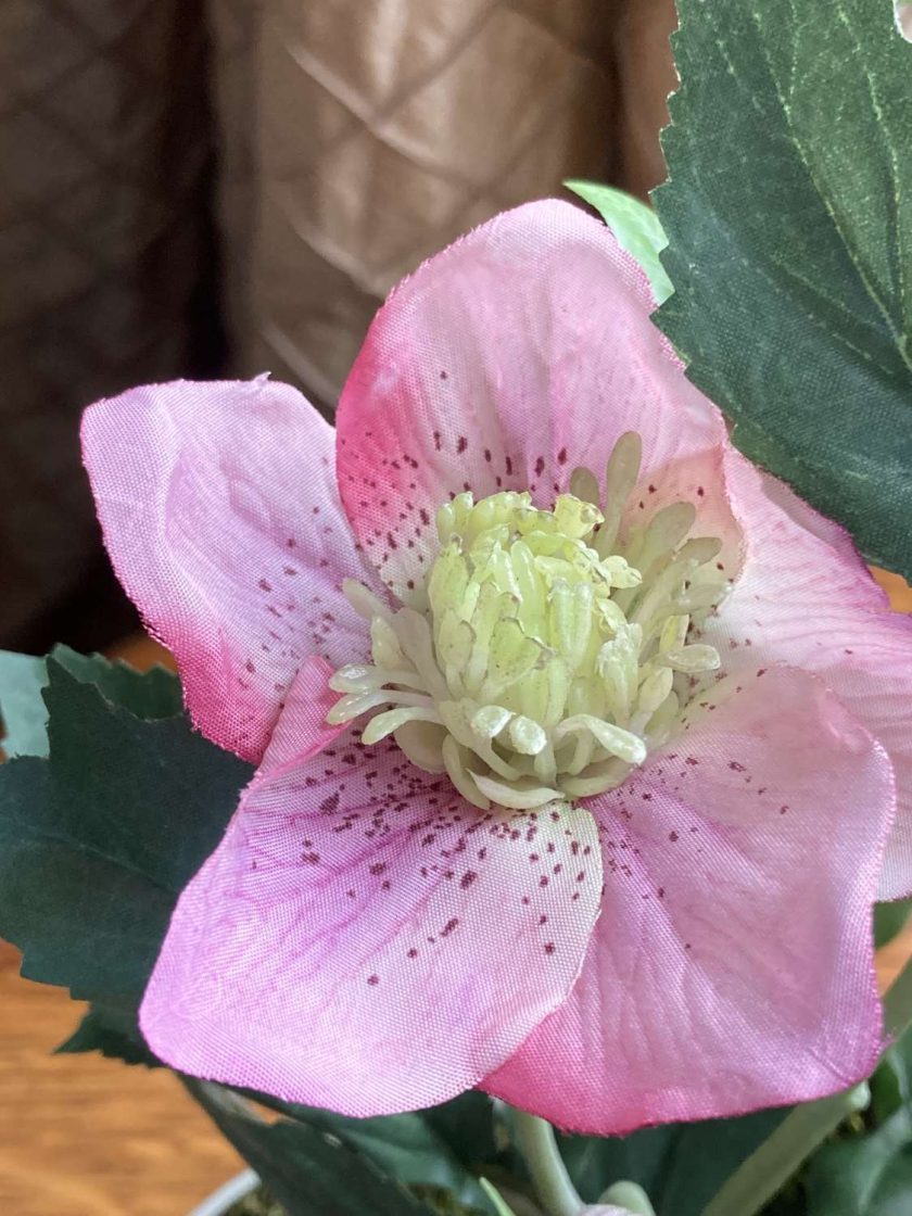 Artificial Hellebore, Tulip and Camelia Arrangement in Cream Tin Trough