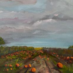 Pumpkin Patch