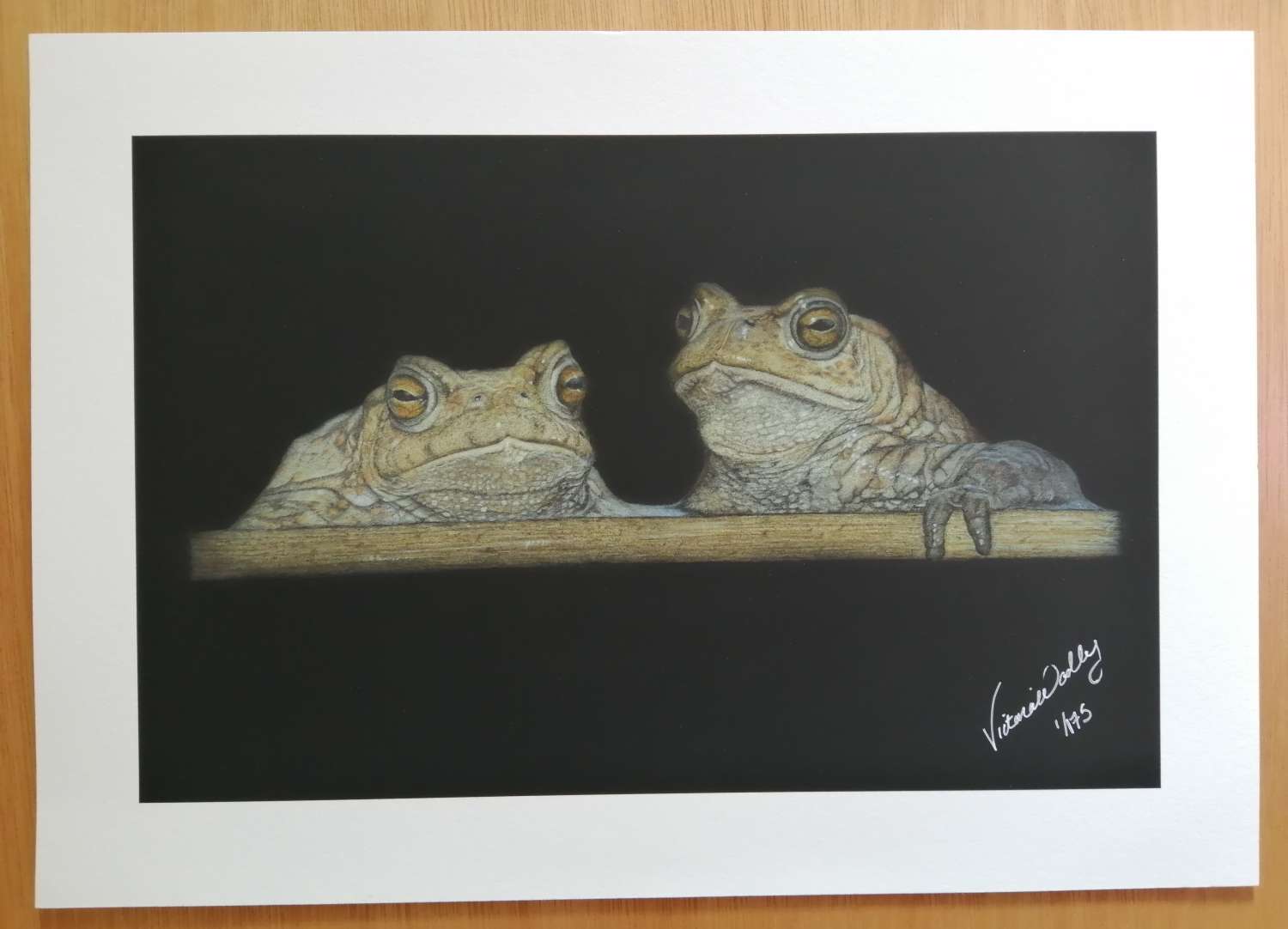 Fine Art Print - Limited Edition A4 File-Eared Tree Frog Print Fine Art Print - Limited Edition A4 File-Eared Tree Frog Print
