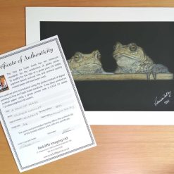 Fine Art Print - Limited Edition A4 Pair Of Toads Print 1 Fine Art Print - Limited Edition A4 Pair Of Toads Print 1