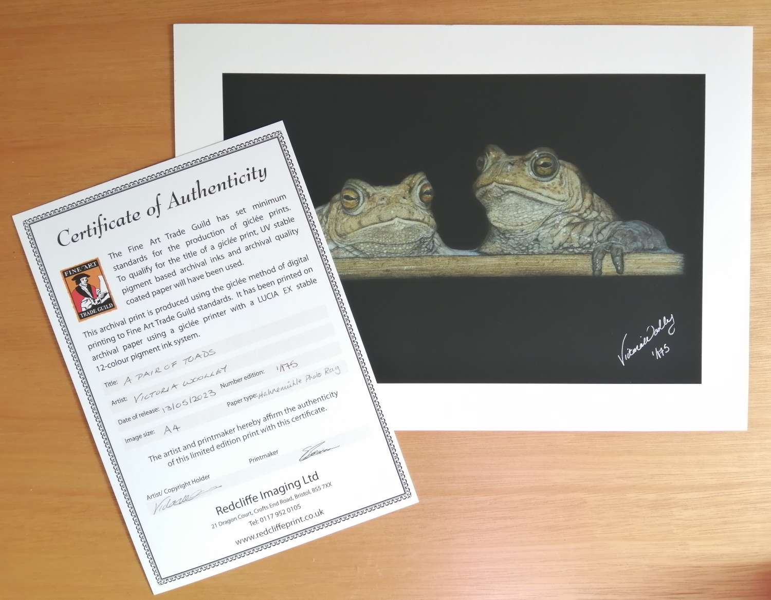 Fine Art Print - Limited Edition A4 File-Eared Tree Frog Print Fine Art Print - Limited Edition A4 File-Eared Tree Frog Print