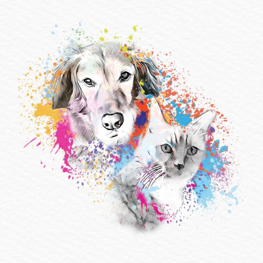 Digital pet portraits MadeMe