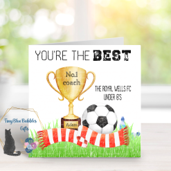 Trophy and scarf football gifts 5 Trophy and scarf football gifts 5