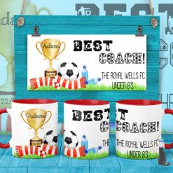 Trophy and scarf football gifts 3 Trophy and scarf football gifts 3