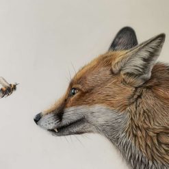 Fox and bee limited edition A4 giclee print "Good Morning, Mr. Bumble"
