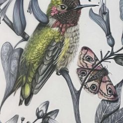 Hummingbird original signed artwork - framed and mounted 7 Hummingbird original signed artwork - framed and mounted 7