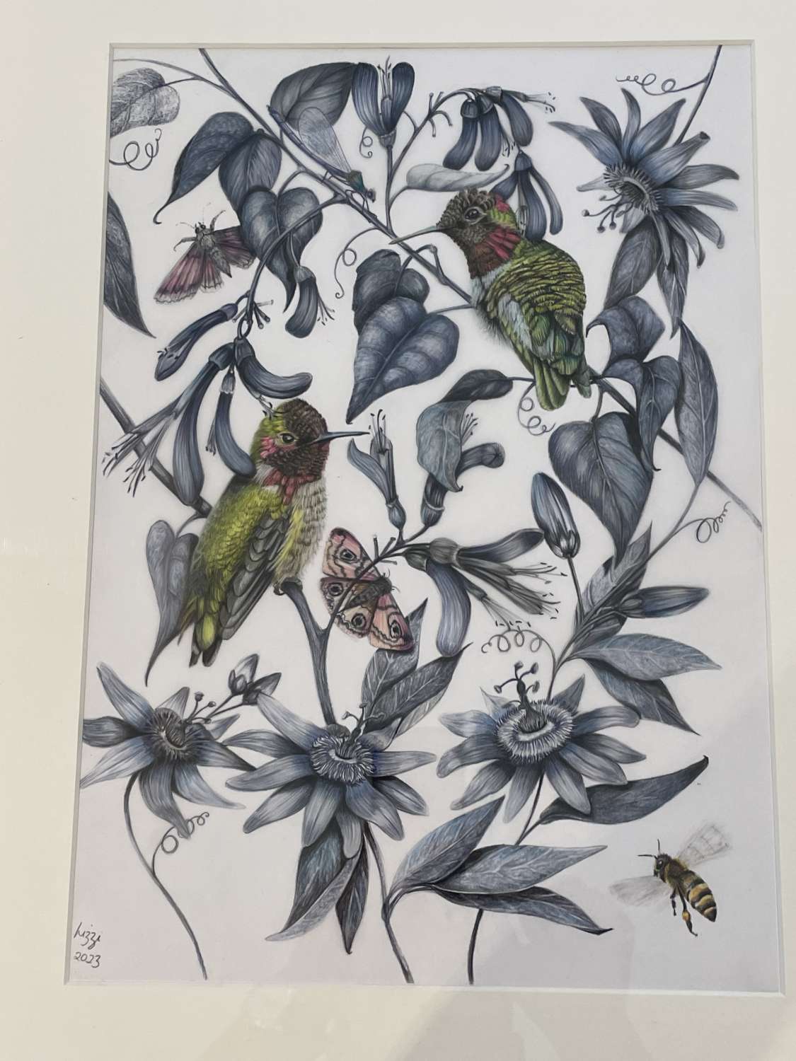 Hummingbird original signed artwork - framed and mounted Hummingbird original signed artwork - framed and mounted