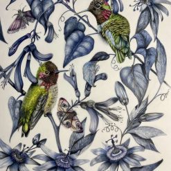 Hummingbird signed limited edition giclee print A3