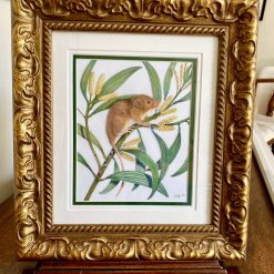 Original signed artwork - Harvest Mouse - Framed and Mounted