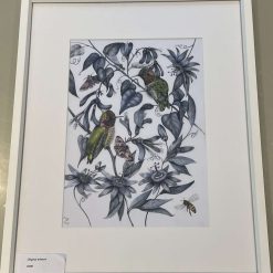 Hummingbird original signed artwork - framed and mounted