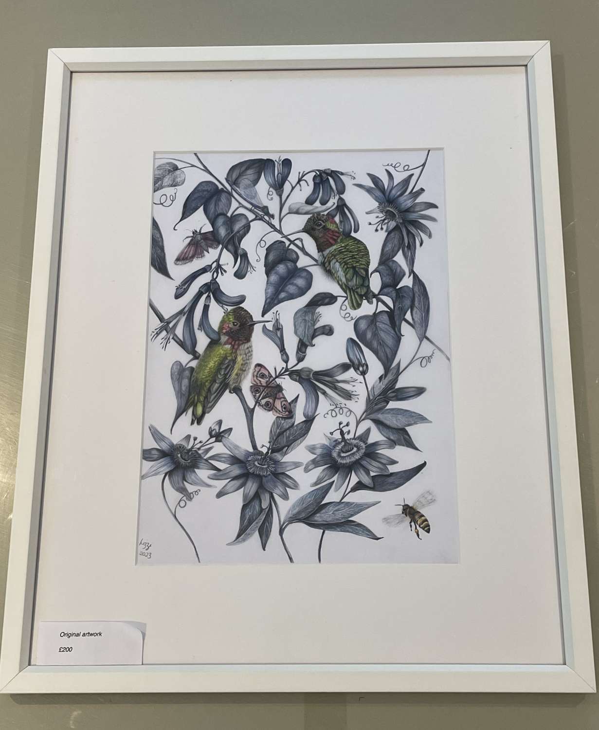 Hummingbird original signed artwork - framed and mounted Hummingbird original signed artwork - framed and mounted