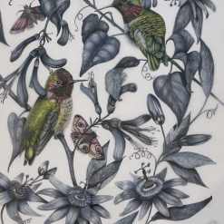 Hummingbird original signed artwork - framed and mounted 8 Hummingbird original signed artwork - framed and mounted 8