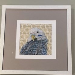 Budgie original artwork - framed and mounted