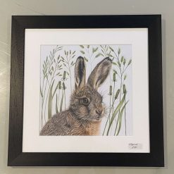 Leveret - baby Hare -  original artwork - framed and mounted