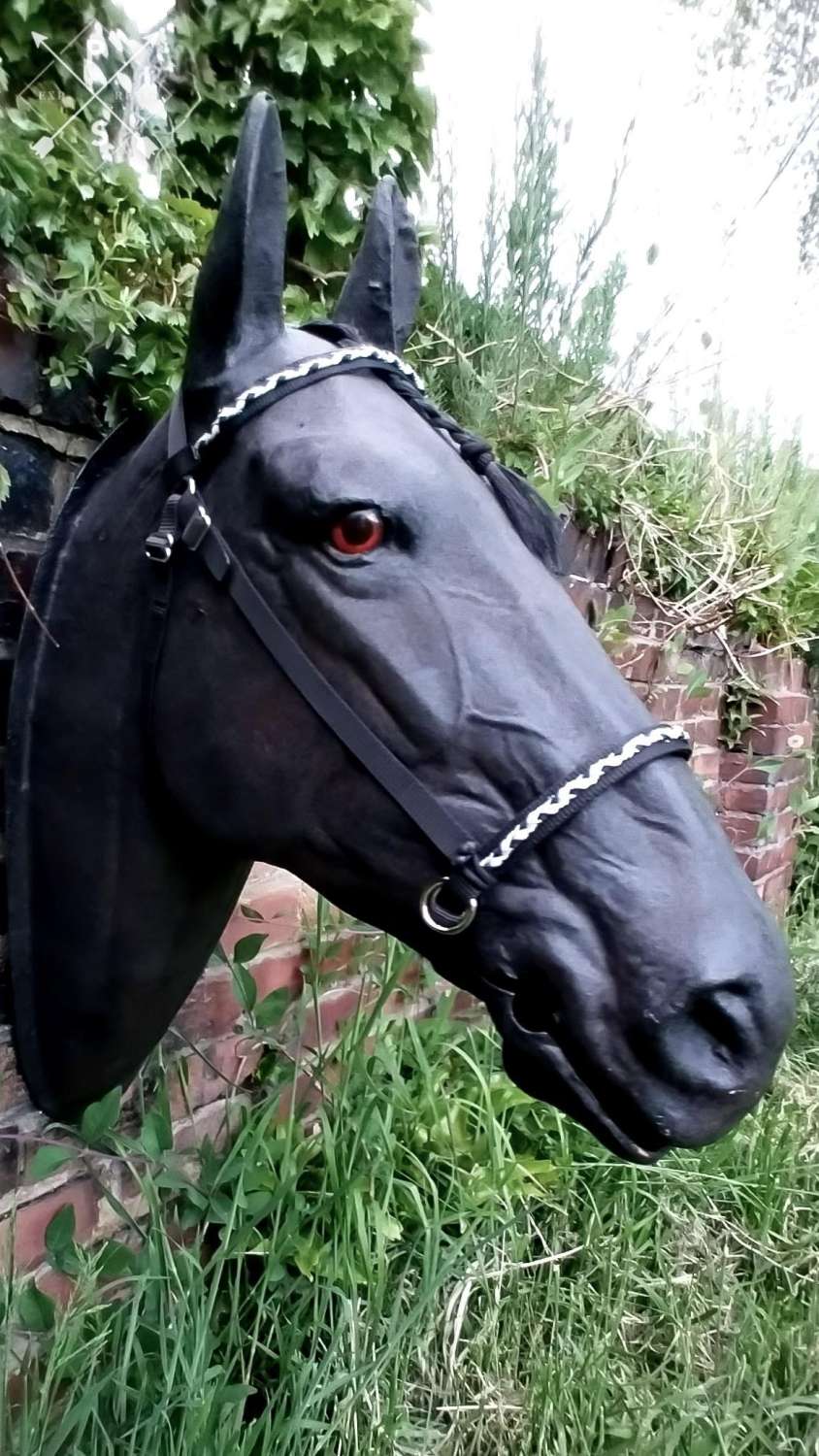 Sidepull Bridle - Black Sidepull Bridle - Black