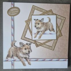 Boarder Terriers card