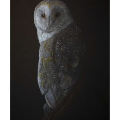 Fine Art Print - A3 Limited Edition Small Eared Tree Frogs