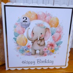 C4833   Happy Birthday 2 Today Card