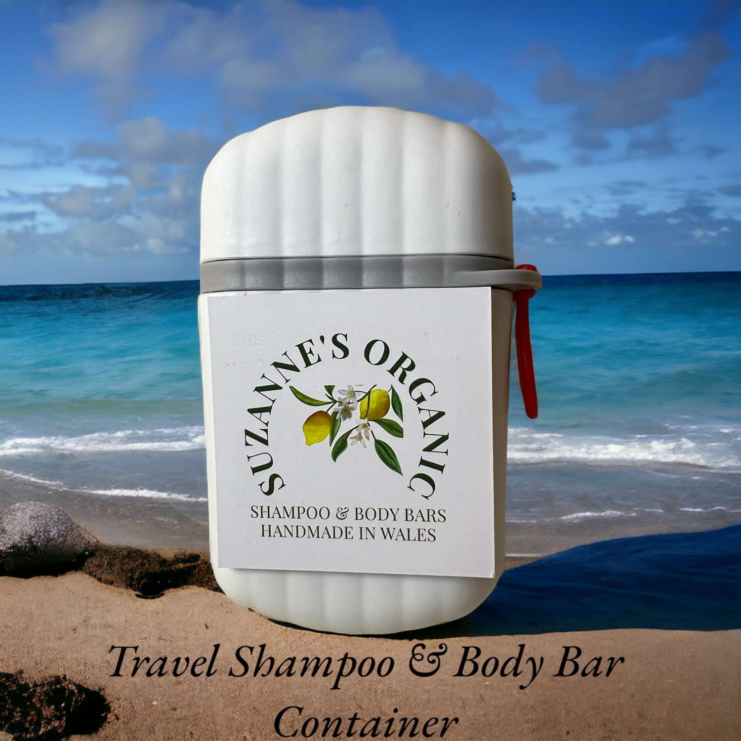 Travel Organic Shampoo & Body Bar with watertight container Travel Organic Shampoo & Body Bar with watertight container