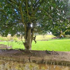 Grey Squirrel (running) - rusty metal