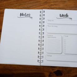 Pregnancy Journal 1