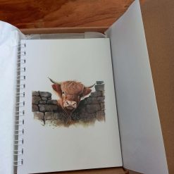 A5 Ring bound notebook 3 A5 Ring bound notebook 3