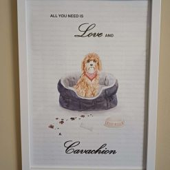 Cavachion Print, Dog Wall Art, Cavachion wearing a Red Bandana sitting in a cosy Dog Bed, Home Decor, Dog Lover Framed Print