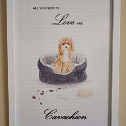 Cavachion Print, Dog Wall Art, Cavachion wearing two pink side hair bows sitting in a cosy Dog Bed, Home Decor, Dog Lover Framed Print