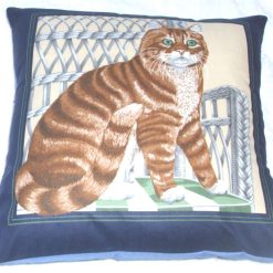 Lovely ginger cat sitting on a wicker chair cushion pillow