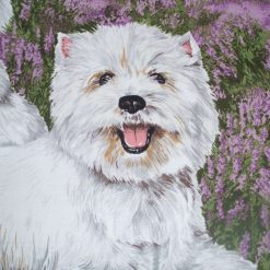 Two Westies side by side in the heather waiting for some fun cushion 1