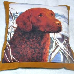 Lovely Honey Labrador waiting patiently in the snow cushion