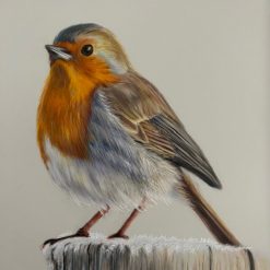 Original artwork - Robin - Mounted
