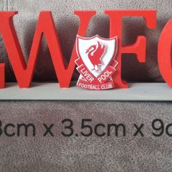 Liverpool Womens Football Club Plaque 1