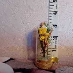 Bellawitch miniature dried flower cloche