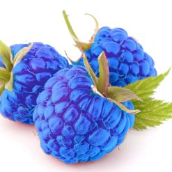 Blue Raspberry High Strength Professional Food, Drinks and Cosmetics Flavouring.